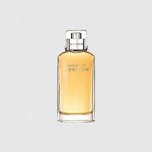 عطر دافيدوف  هورايزن  أو دي تواليت  125 مل  رجالي
